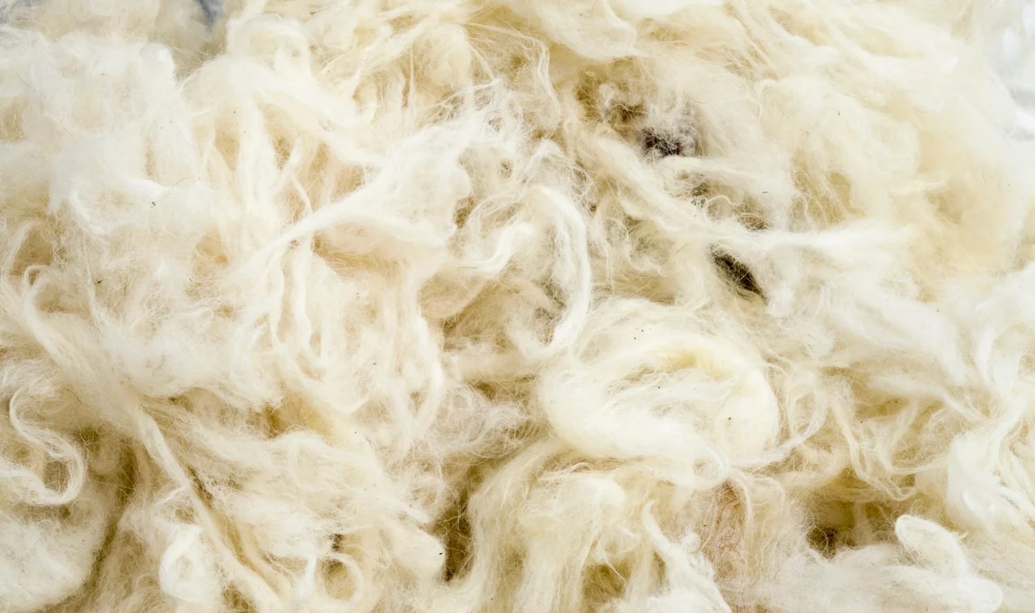 Close-up van merino wol. Capasbed 100% natuurlijke materialen.